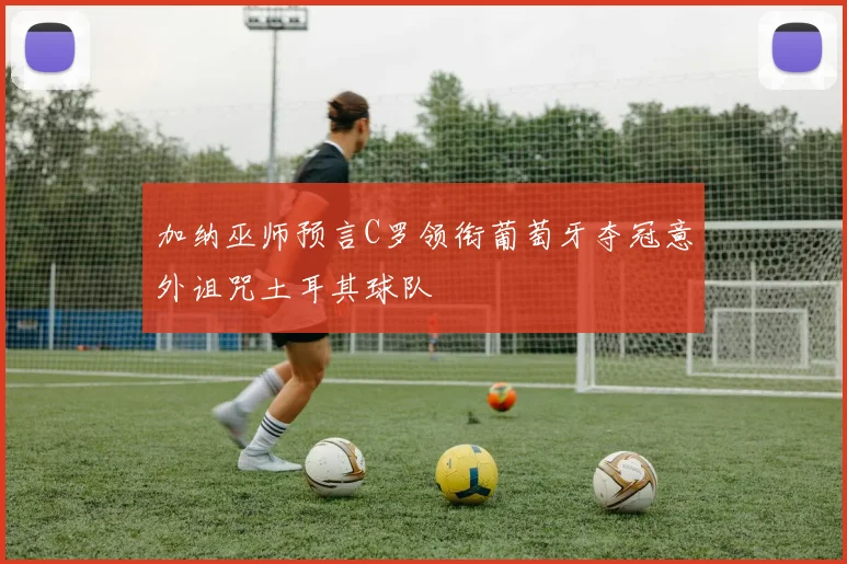 加纳巫师预言C罗领衔葡萄牙夺冠意外诅咒土耳其球队