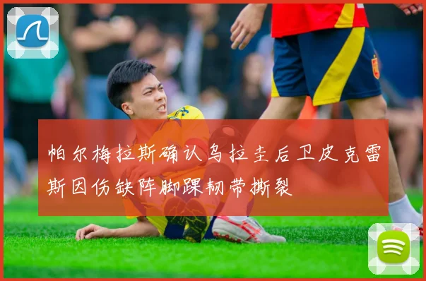 帕尔梅拉斯确认乌拉圭后卫皮克雷斯因伤缺阵脚踝韧带撕裂