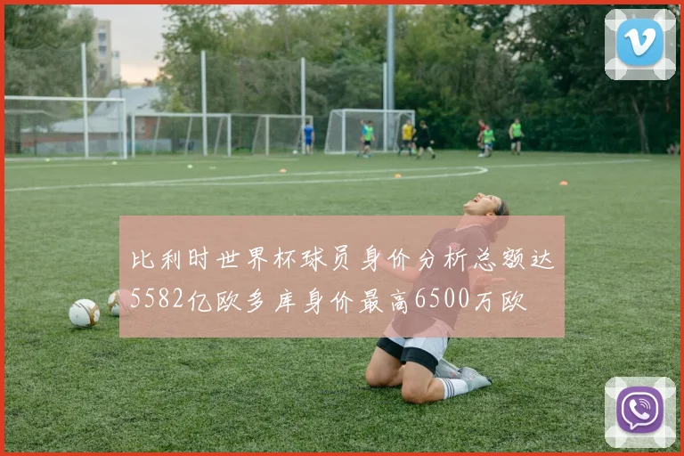 比利时世界杯球员身价分析总额达5582亿欧多库身价最高6500万欧